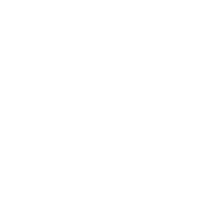 Bridge to Transfrom Logo